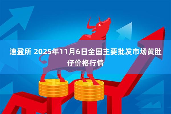 速盈所 2025年11月6日全国主要批发市场黄肚仔价格行情