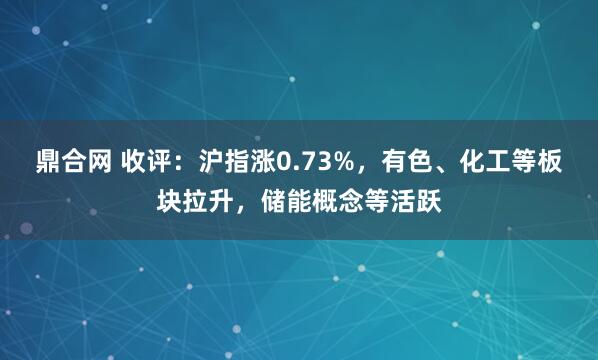 鼎合网 收评：沪指涨0.73%，有色、化工等板块拉升，储能概念等活跃