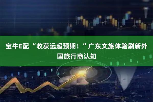 宝牛E配 “收获远超预期！”广东文旅体验刷新外国旅行商认知