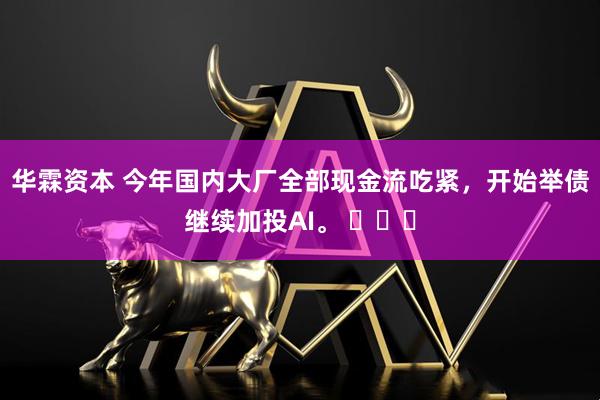华霖资本 今年国内大厂全部现金流吃紧，开始举债继续加投AI。 ​​​